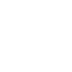 Screen icon