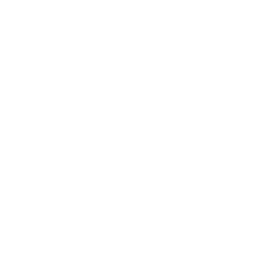 Mobile icon